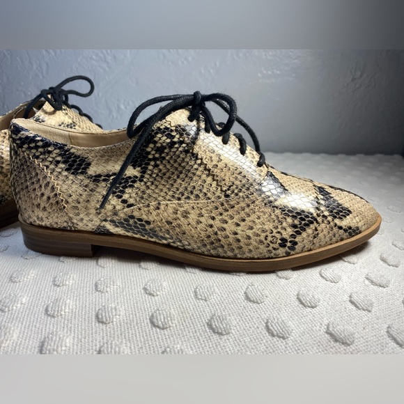 COLE HAAN Modern Classic Oxford - Python Printed Leather - Picture 2 of 16
